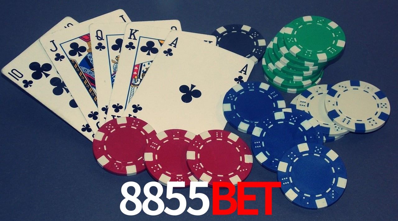 Experiência VIP 8855BET